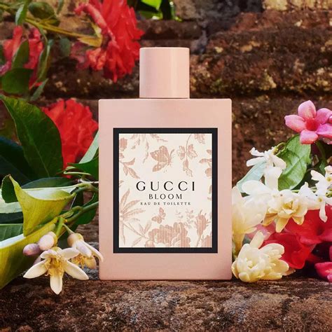 gucci bloom divain|Perfume inspired by Bloom Eau de Toilette from Gucci – .